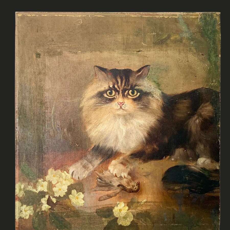 NAIVE SCHOOL - PORTRAIT OF A CAT