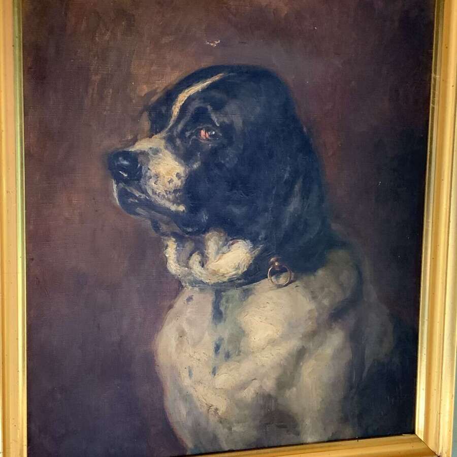 FRENCH SCHOOL OIL PORTRAIT OF A DOG - c1910