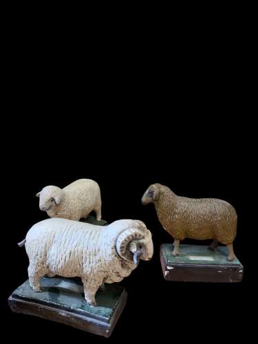 A MID CENTURY COLLECTION OF PLASTER SHEEP MODELS