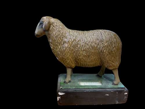 A MID CENTURY COLLECTION OF PLASTER SHEEP MODELS